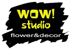 ������ ���������� � ������ Wow Studio