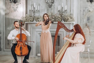 ��������� �� ������� Ameli trio