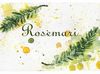 ������ ������ Rosemari