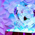 Sunday Wedding Show, ��� ������������ ���������� ��������� � ��������