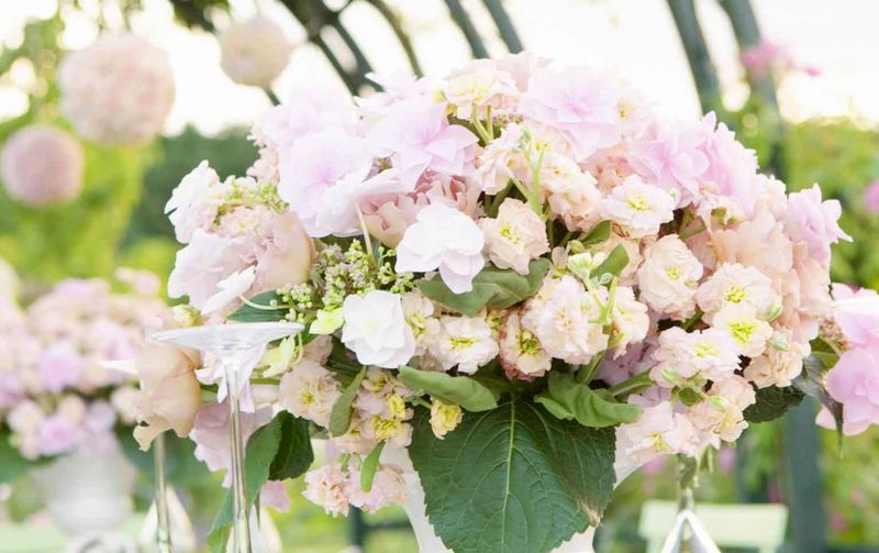 ����� ��� ������������ �� ������� �� Royal-Flowers